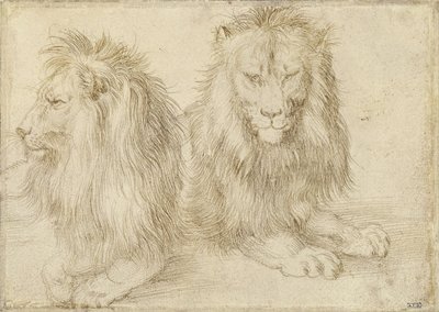 Due leoni seduti, 1521 da Albrecht Dürer