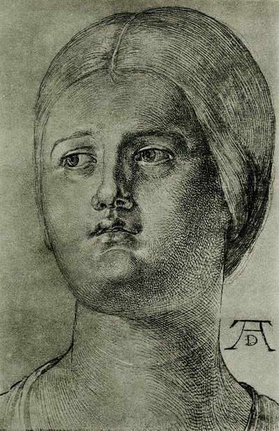 Testa di donna veneziana da Albrecht Dürer