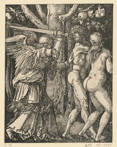  da Albrecht Dürer