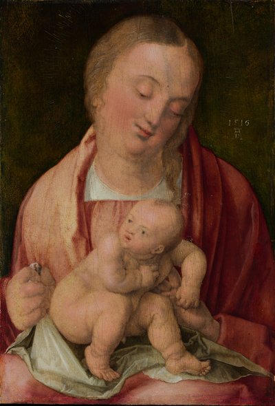 Vergine e Bambino da Albrecht Dürer
