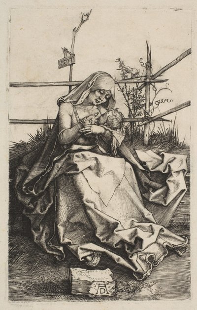 Vergine e Bambino su una panchina erbosa da Albrecht Dürer