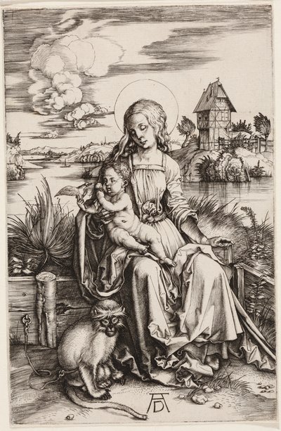  da Albrecht Dürer