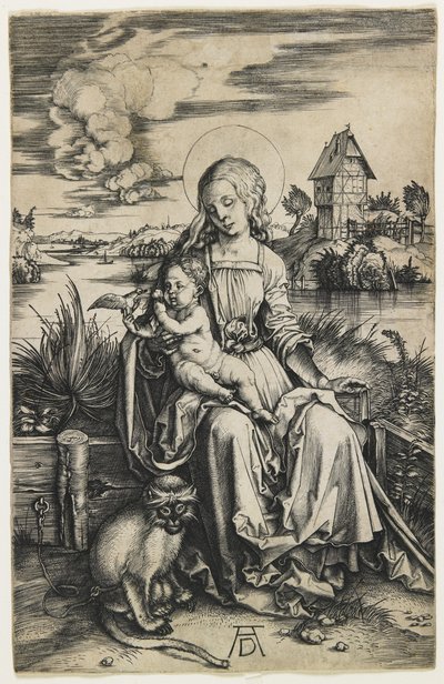 Vergine e Bambino con la scimmia, c. 1498 da Albrecht Dürer