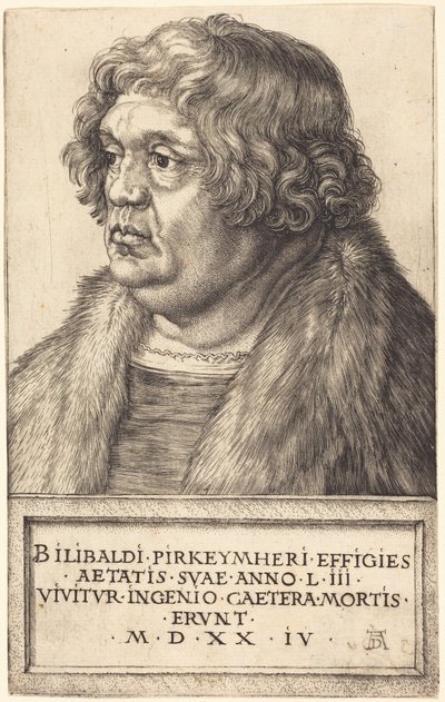  da Albrecht Dürer