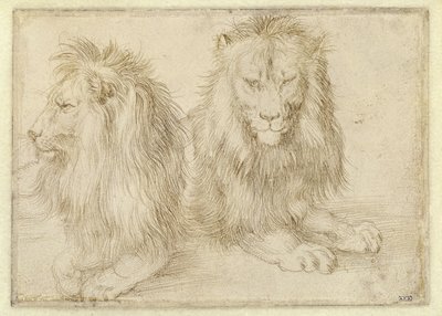  da Albrecht Dürer