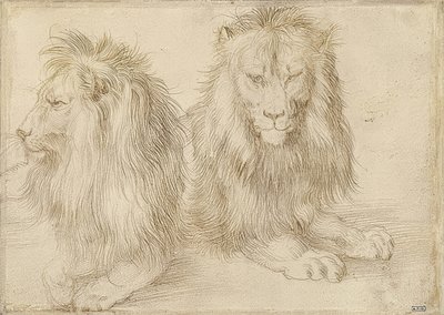 Due leoni sdraiati da Albrecht Dürer