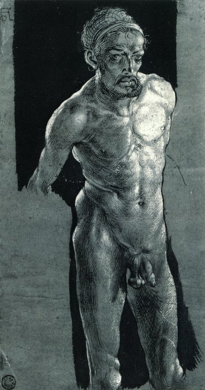 autoritratto in nudo da Albrecht Dürer
