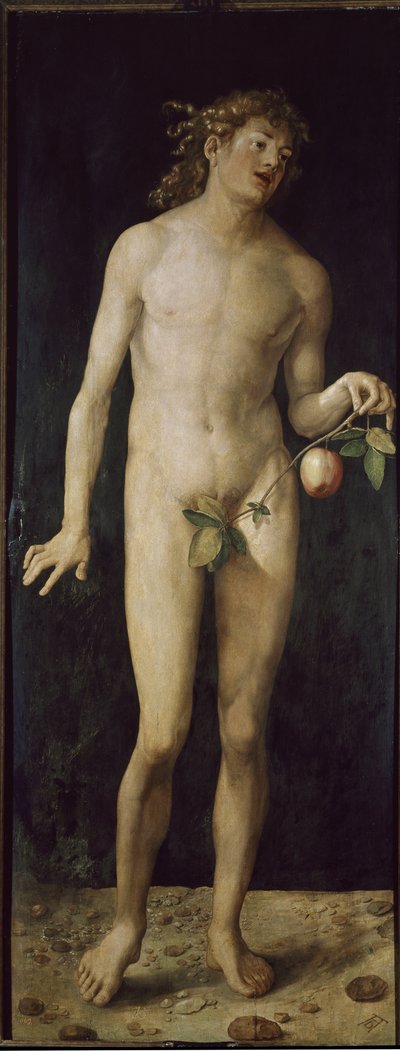 Adamo da Albrecht Dürer