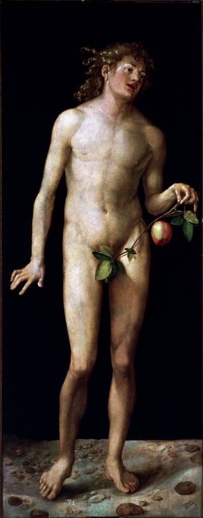  da Albrecht Dürer or Duerer