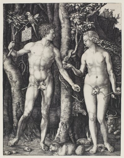 Adamo ed Eva da Albrecht Dürer