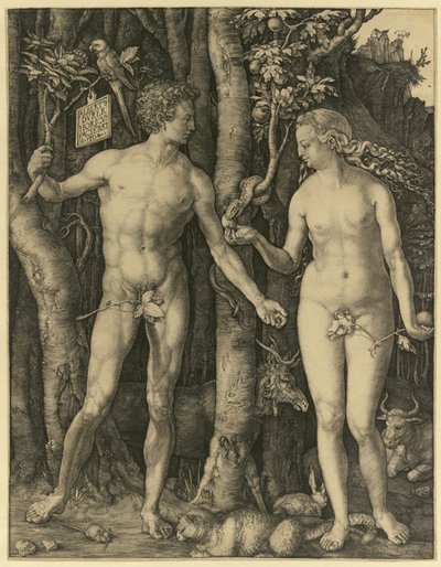 Adamo ed Eva da Albrecht Dürer