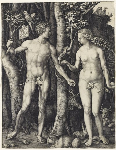 Adamo ed Eva da Albrecht Dürer