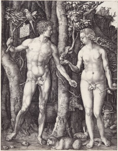 Adamo ed Eva, pub. 1504 da Albrecht Dürer