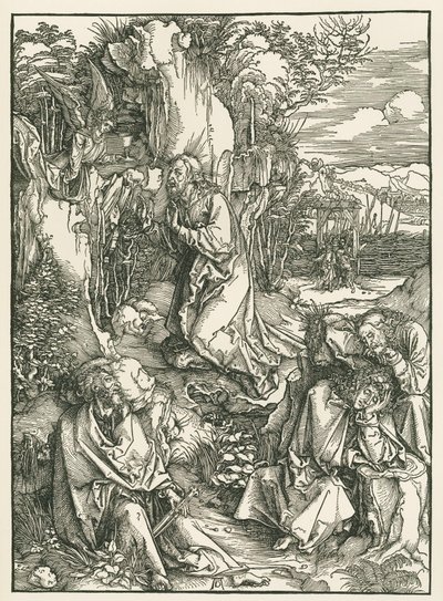 Agonia nell