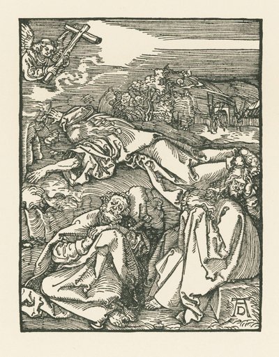 Agonia nell