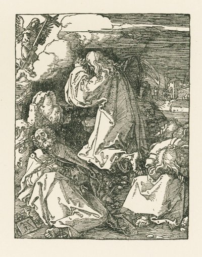 Agonia nell