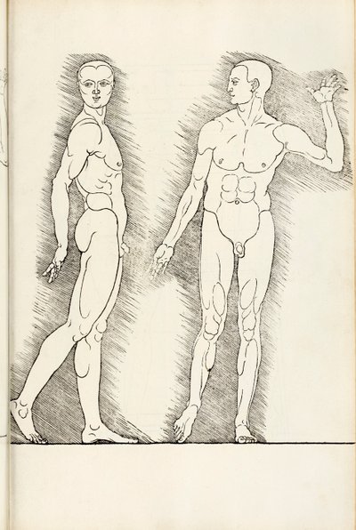 Xilografia anatomica da Hierinn sind begriffen vier bücher von menschlicher Proportion, 1528 da Albrecht Dürer