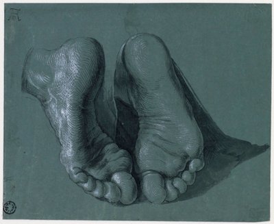 Studio di due piedi - Disegno di Albrecht Durer (1471-1528), acquerello, colore bianco, gesso nero su carta, c1508 (17,6x21,6cm) - Museum Boijmans Van Beuningen, Rotterdam da Albrecht Dürer