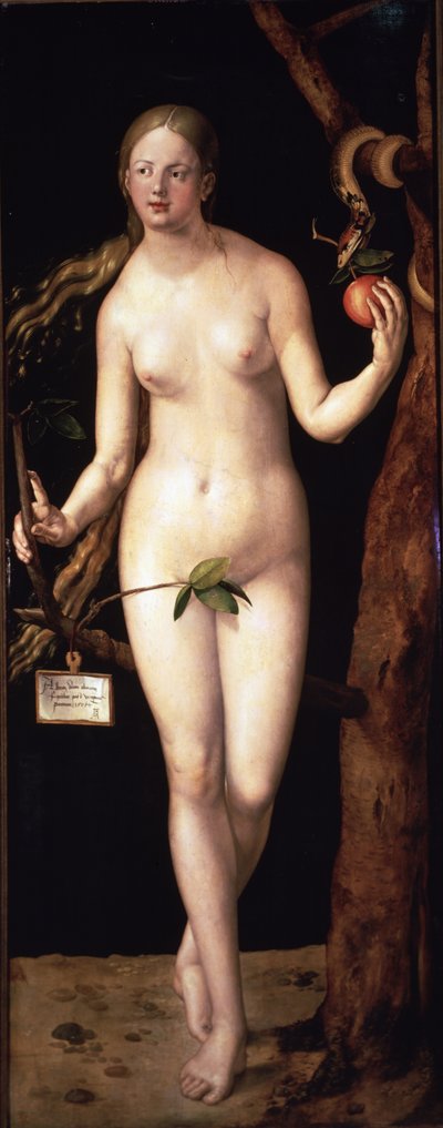  da Albrecht Dürer or Duerer