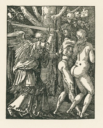 Espulsione dal Paradiso da Albrecht Dürer or Duerer