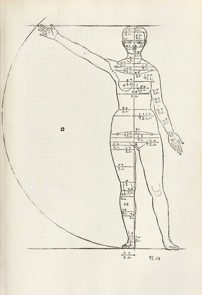 Incisione anatomica femminile da 