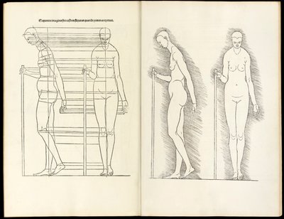 Donna con bastone, xilografia anatomica da Hierinn sind begriffen vier bücher von menschlicher Proportion, 1528 da Albrecht Dürer