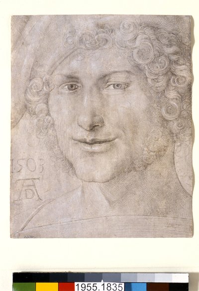 Testa di un giovane uomo da Albrecht Dürer