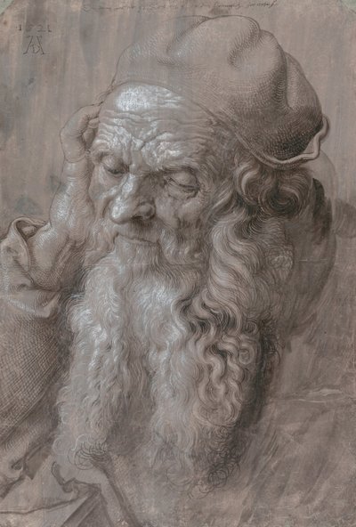Testa di un vecchio da Albrecht Dürer