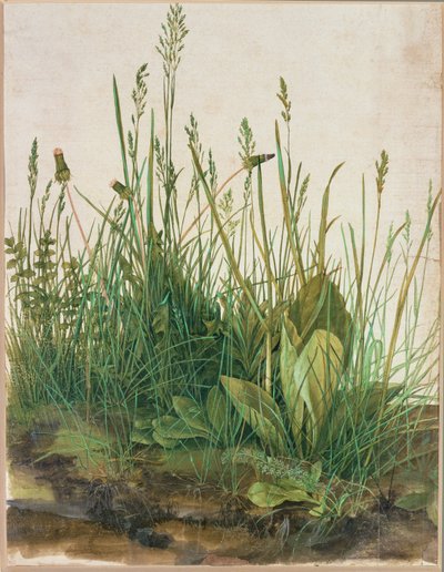 Grande ciuffo di torba - Das grosse Rasenstueck da Albrecht Dürer or Duerer