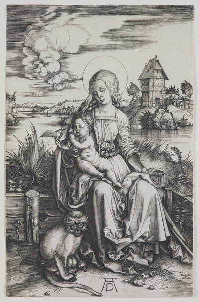 Madonna con la scimmia, 1498 circa (incisione) da Albrecht Dürer or Duerer