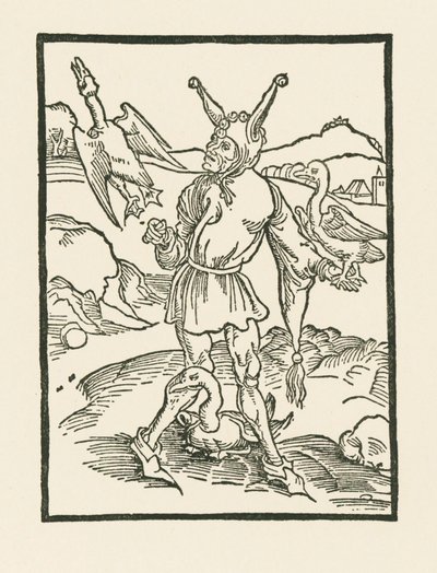 Narr hur as vern da Albrecht Dürer or Duerer
