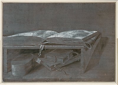 Libro aperto (disegno a pennello su carta marrone) da Albrecht Dürer or Duerer