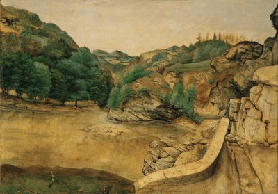 Sentiero nelle Alpi da Albrecht Dürer or Duerer