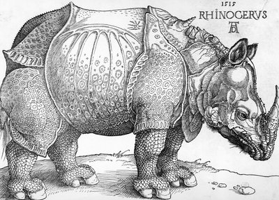 Rinoceronte da Albrecht Dürer