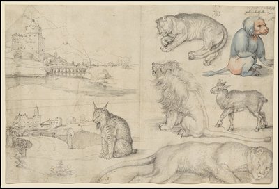 Schizzi di animali e paesaggi da Albrecht Dürer