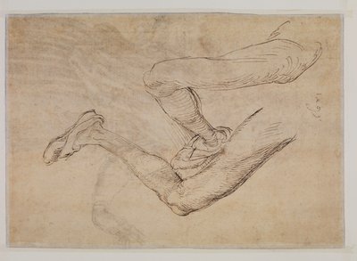 Studio di una gamba sinistra da due punti di vista da Albrecht Dürer