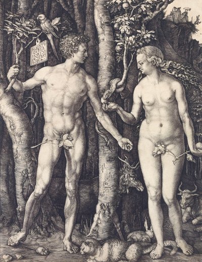 La caduta dell