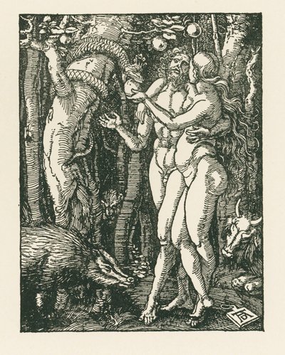 La caduta dell