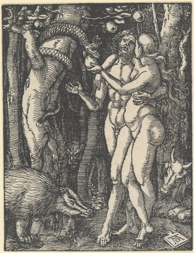La caduta dell