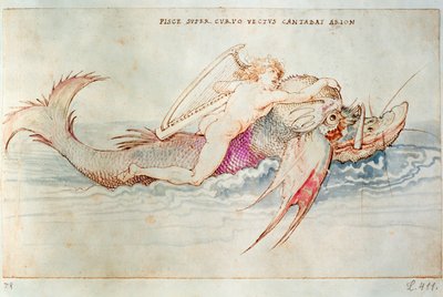 Il poeta greco Arione che cavalca il delfino, 1515 circa (acquerello su carta) da Albrecht Dürer or Duerer