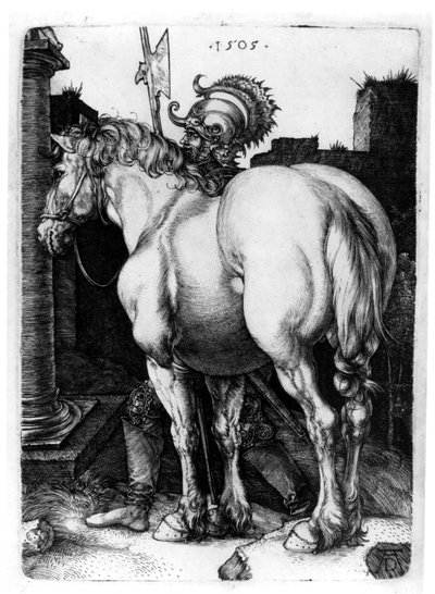 Il grande cavallo da Albrecht Dürer