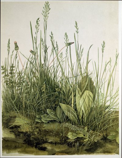 Il grande pezzo di zolla da Albrecht Dürer or Duerer