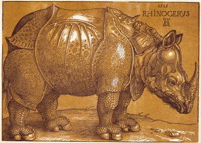 Il Rinoceronte da Albrecht Dürer or Duerer