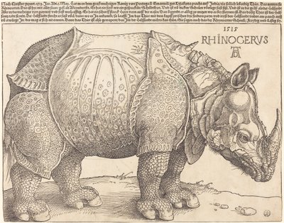 Il rinoceronte da Albrecht Dürer