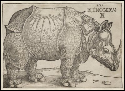 Il rinoceronte, 1515 da Albrecht Dürer