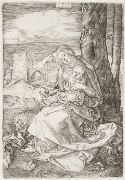 La Vergine e il Bambino con la pera da Albrecht Dürer