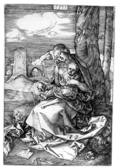La Vergine e il Bambino con la pera da Albrecht Dürer