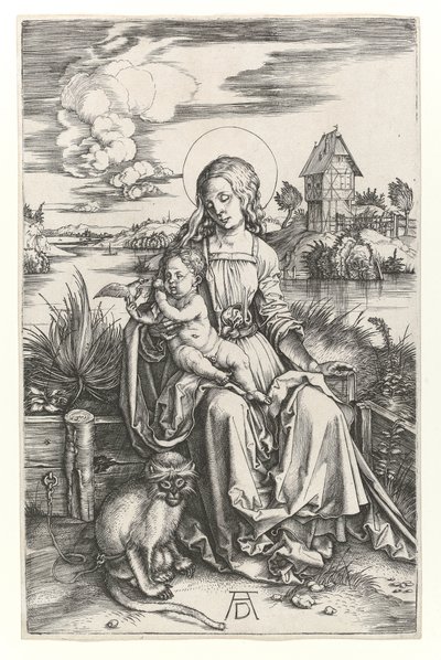 La Vergine con la scimmia, c.1498 da Albrecht Dürer