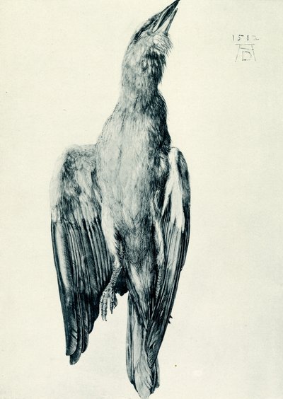 Il rullo blu morto da Albrecht Dürer