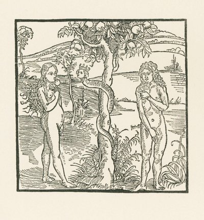 La caduta. Illustrazione di "Der Ritter von Turn", 1493-93 circa (xilografia) da Albrecht Dürer or Duerer